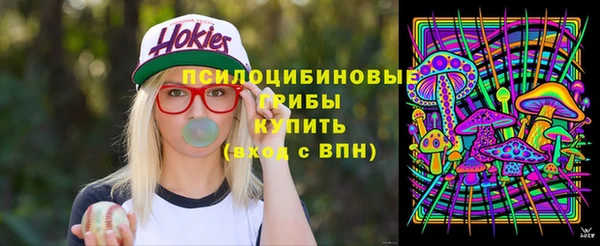 ALPHA PVP Баксан