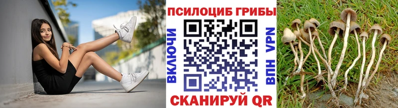 Галлюциногенные грибы Psilocybe  гидра ссылки  Беломорск  наркошоп 